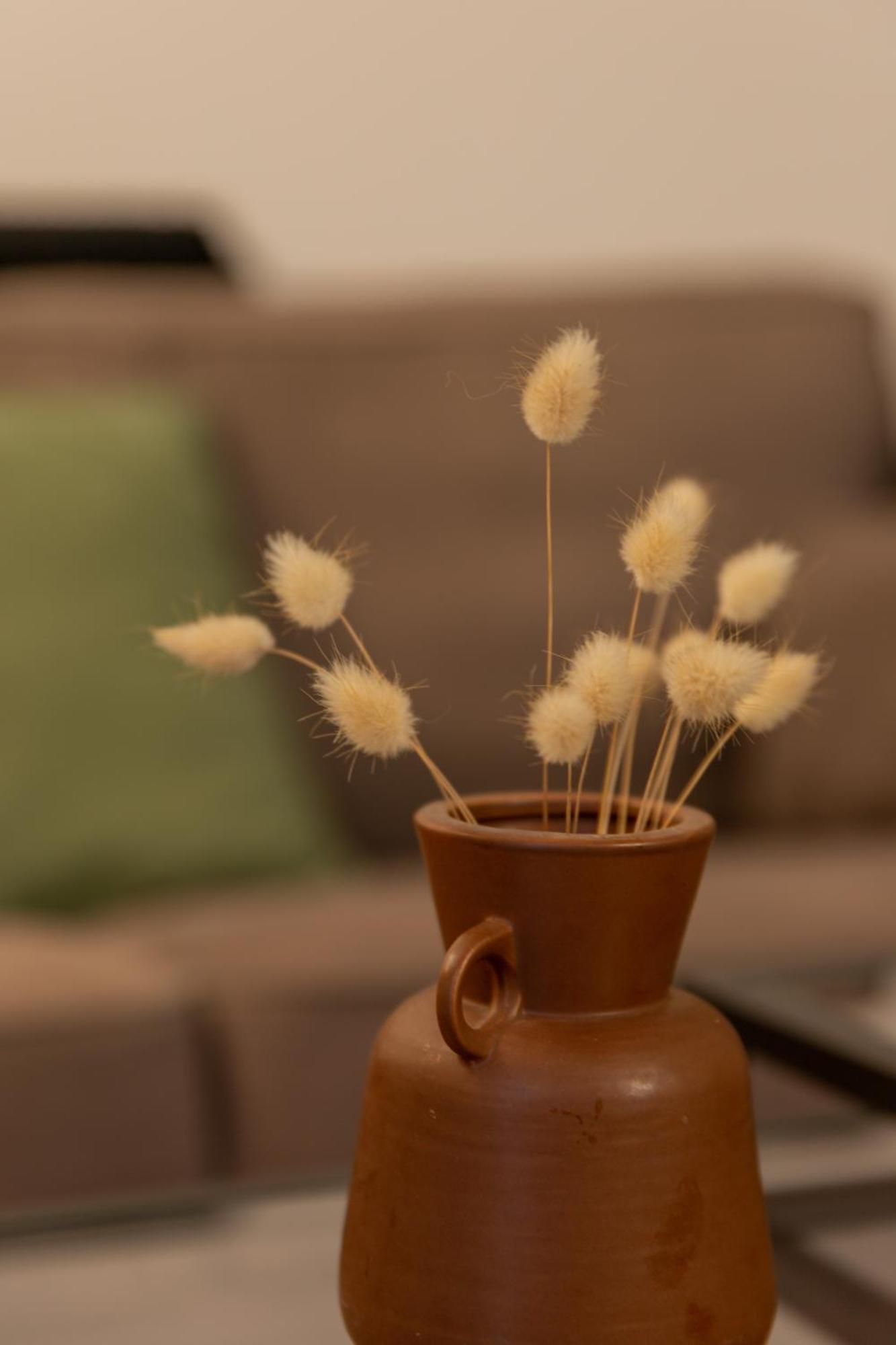 Delalauret Apartment - Vannes Centre מראה חיצוני תמונה