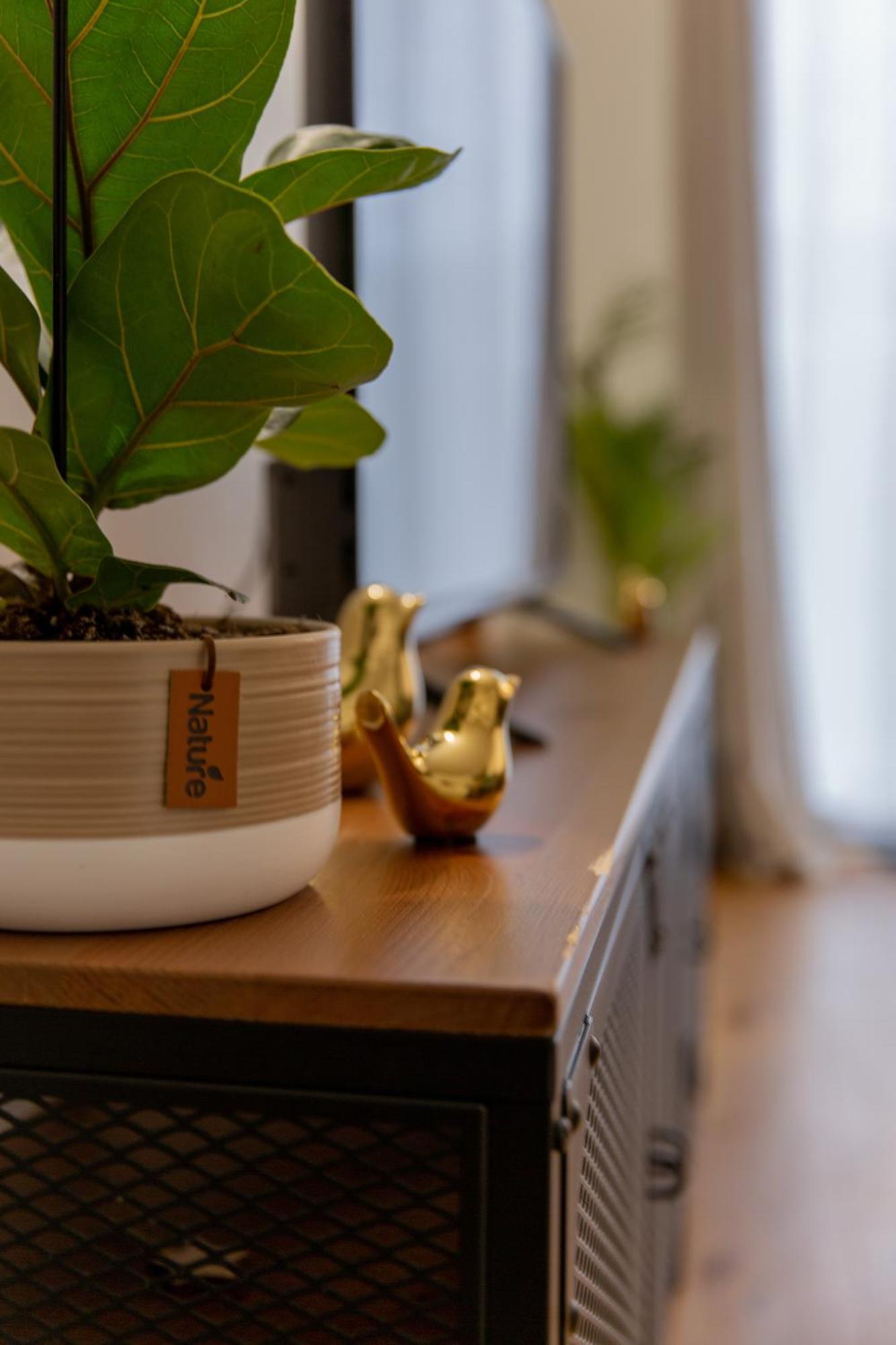 Delalauret Apartment - Vannes Centre מראה חיצוני תמונה